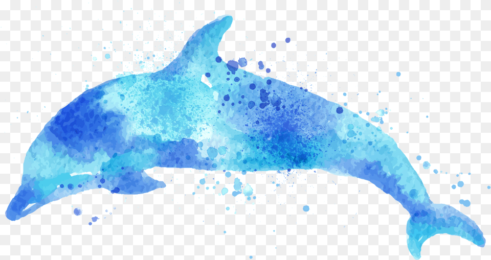 Watercolor Dolphin, Animal, Mammal, Sea Life, Fish Png Image