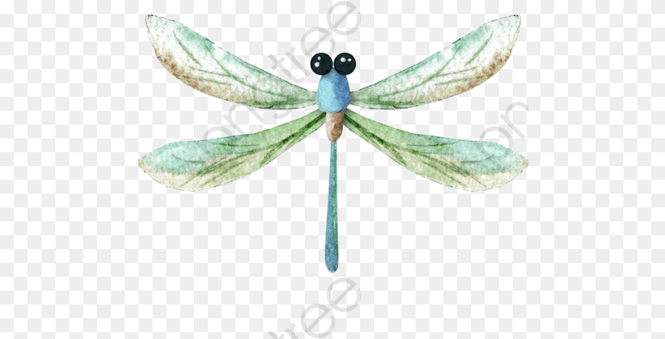Watercolor Dragonfly Clipart Clip Art Dragonfly Watercolor, Animal, Insect, Invertebrate Png Image