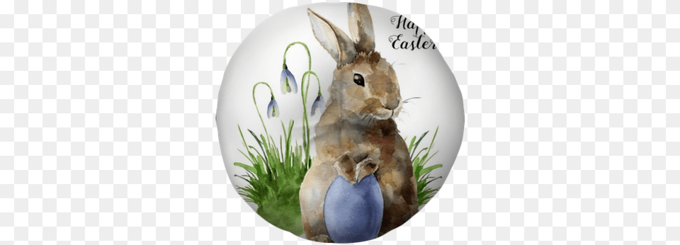 Watercolor Easter Card With Bunny Snowdrops And Colored Kartki Wielkanocne Rcznie Malowane, Animal, Hare, Mammal, Rodent Free Png