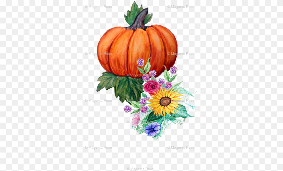 Watercolor Fall Floral Wallpaper Watercolor Pumpkin Transparent, Vegetable, Produce, Food, Plant Png Image