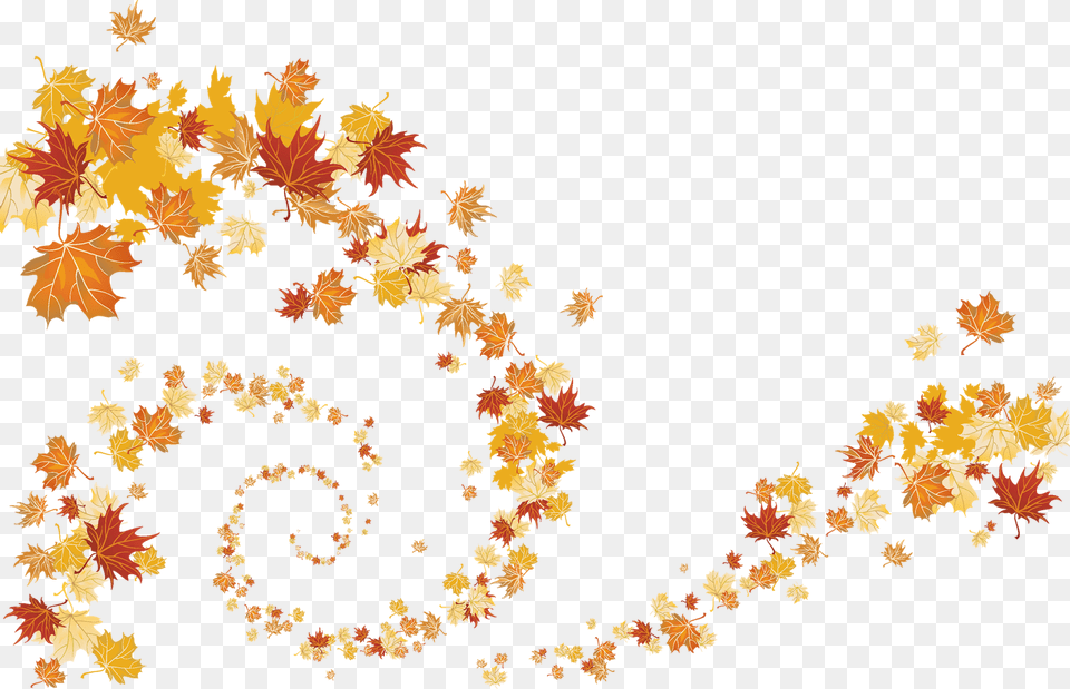 Watercolor Fall Leaves Clip Art, Leaf, Plant, Tree, Maple Free Png