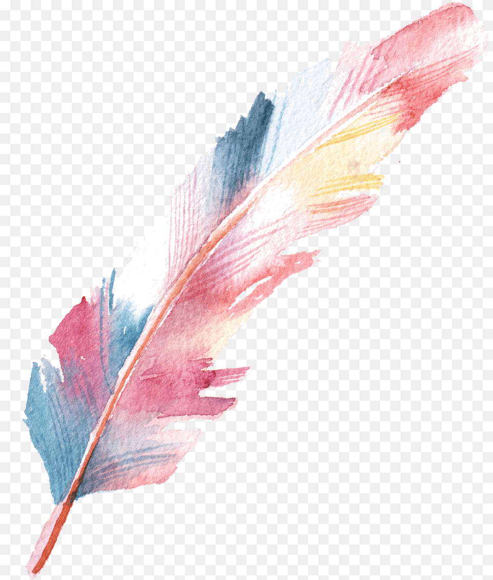 Watercolor Feather, Bottle, Leaf, Plant, Person Free Png