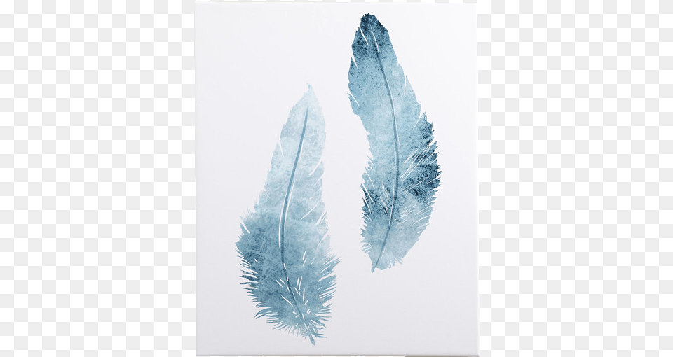 Watercolor Feather, Ice, Leaf, Nature, Outdoors Free Png