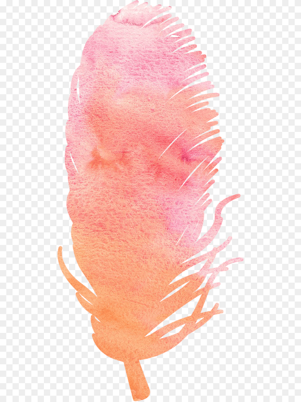 Watercolor Feather, Baby, Person, Flower, Petal Free Png Download