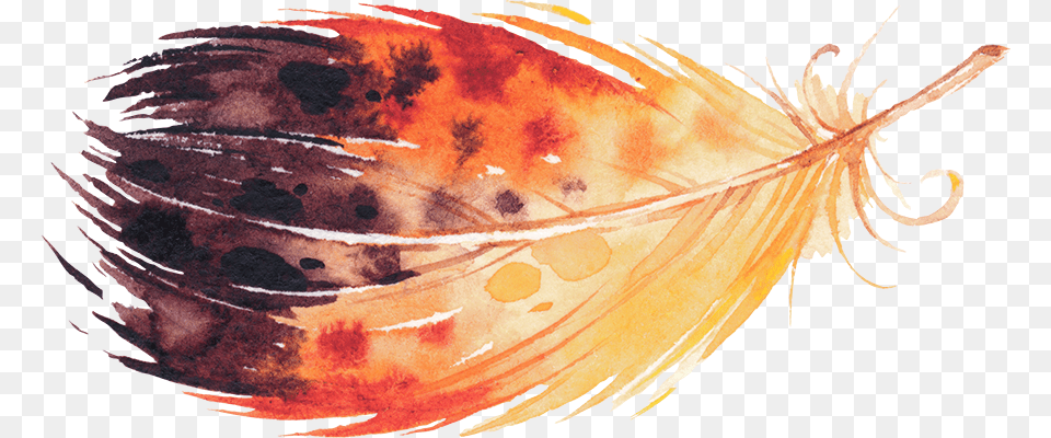 Watercolor Feather, Art, Animal, Sea Life, Fish Png