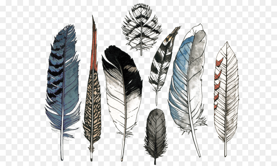 Watercolor Feather Set Watercolor Feathers, Leaf, Plant, Art, Blade Free Png