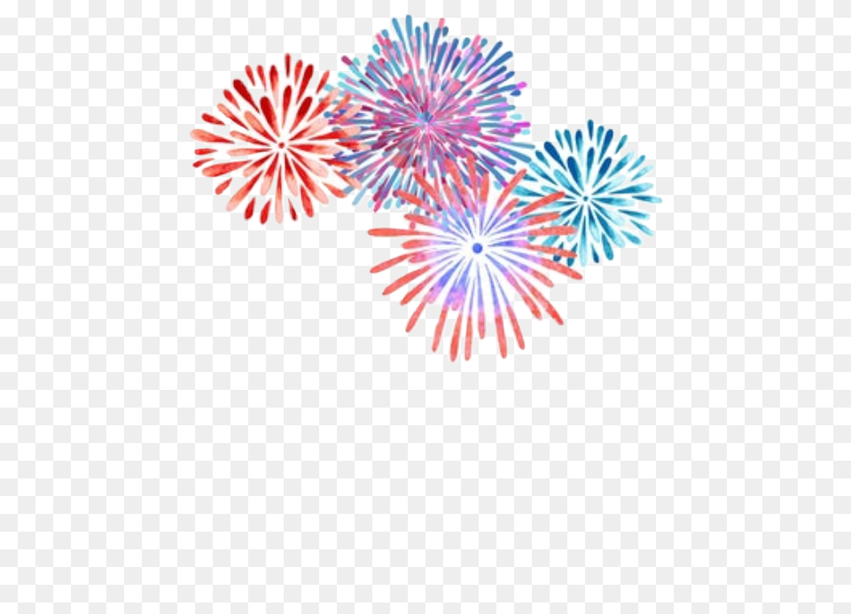 Watercolor Fireworks Independanceday Fourthofjuly, Flower, Plant, Daisy Free Transparent Png
