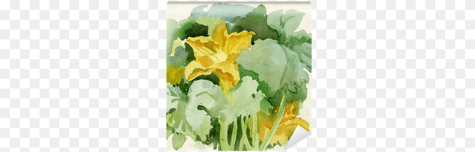 Watercolor Flora Collection Watercolor Painting, Food, Produce, Flower, Plant Png Image