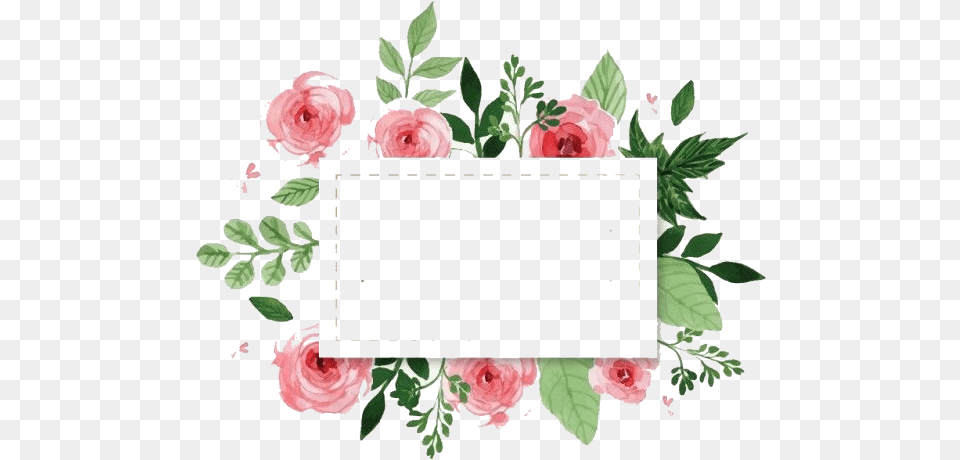 Watercolor Floral Background, Flower, Petal, Plant, Rose Free Transparent Png
