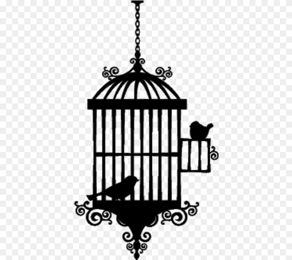Watercolor Floral Bird Cage, Nature, Night, Outdoors, Astronomy Free Transparent Png