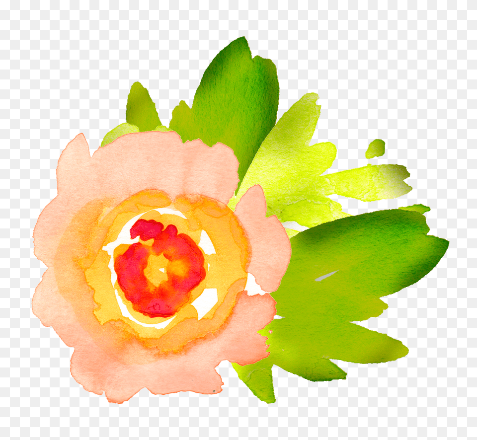 Watercolor Floral Elements Pretty, Plant, Leaf, Flower, Petal Free Transparent Png