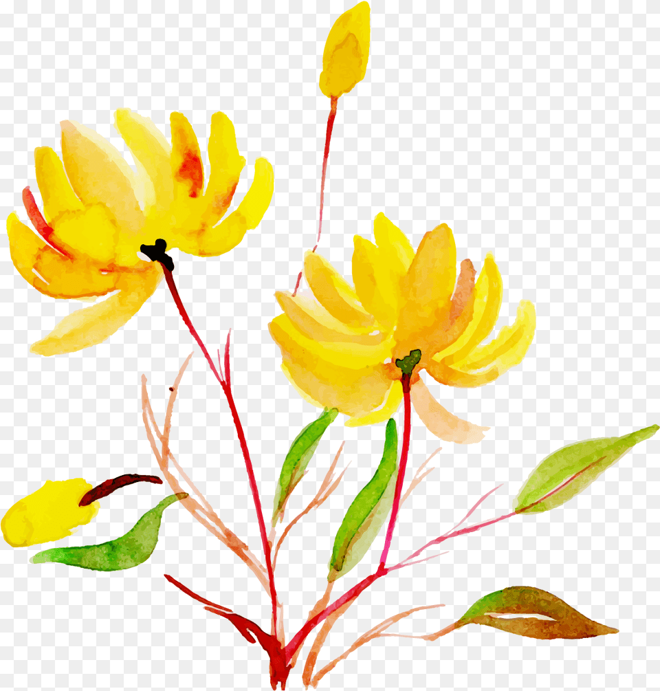 Watercolor Floral Konfest, Flower, Leaf, Petal, Plant Free Png