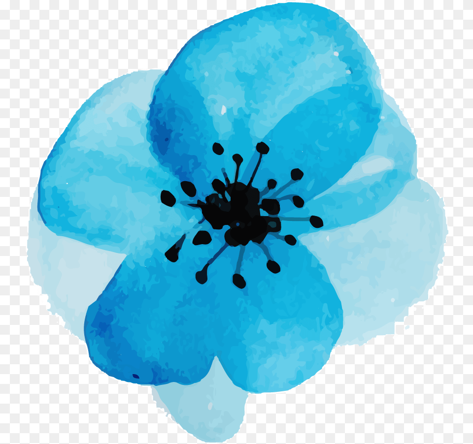 Watercolor Floral Konfest Corn Poppy, Anemone, Anther, Flower, Petal Free Png Download