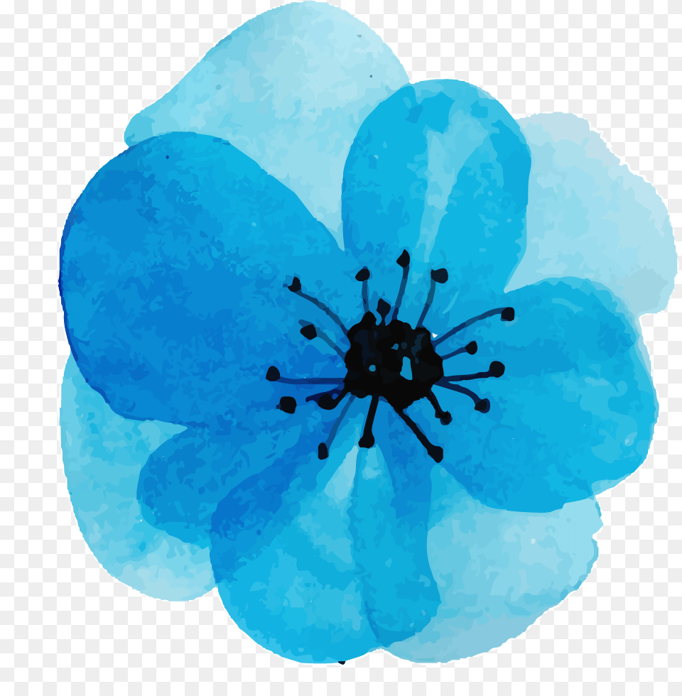 Watercolor Floral Konfest Green Blue Teal Watercolor Flower, Anemone, Anther, Plant, Petal Free Png