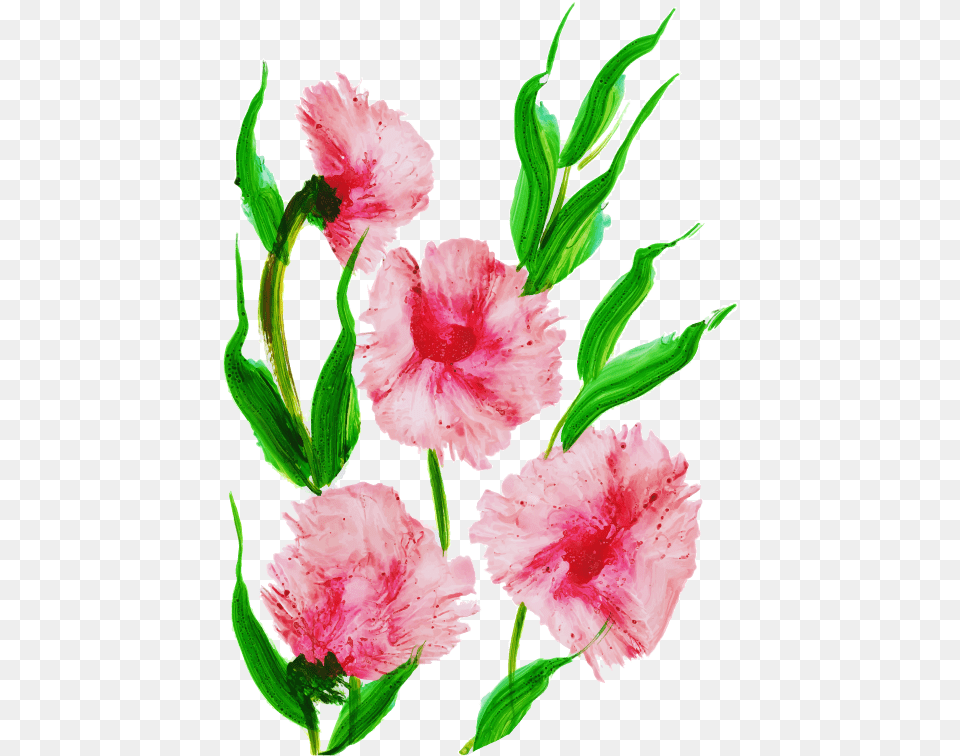 Watercolor Floral Konfest Rhododendron, Carnation, Flower, Plant, Rose Free Png Download
