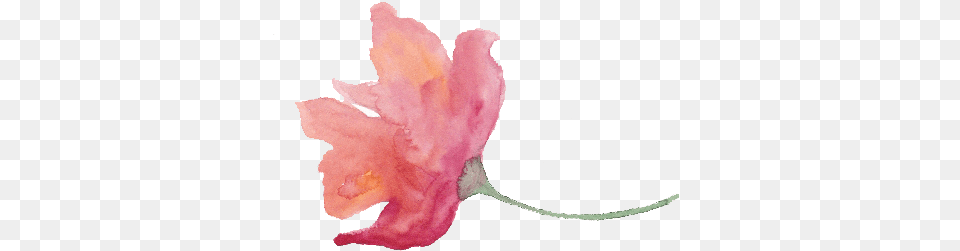 Watercolor Floral Texture With Provence Flowers Watercolor Painting, Petal, Anther, Flower, Leaf Free Png Download