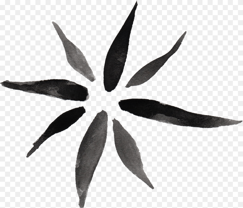 Watercolor Flower Black, Plant, Leaf, Stencil, Animal Png