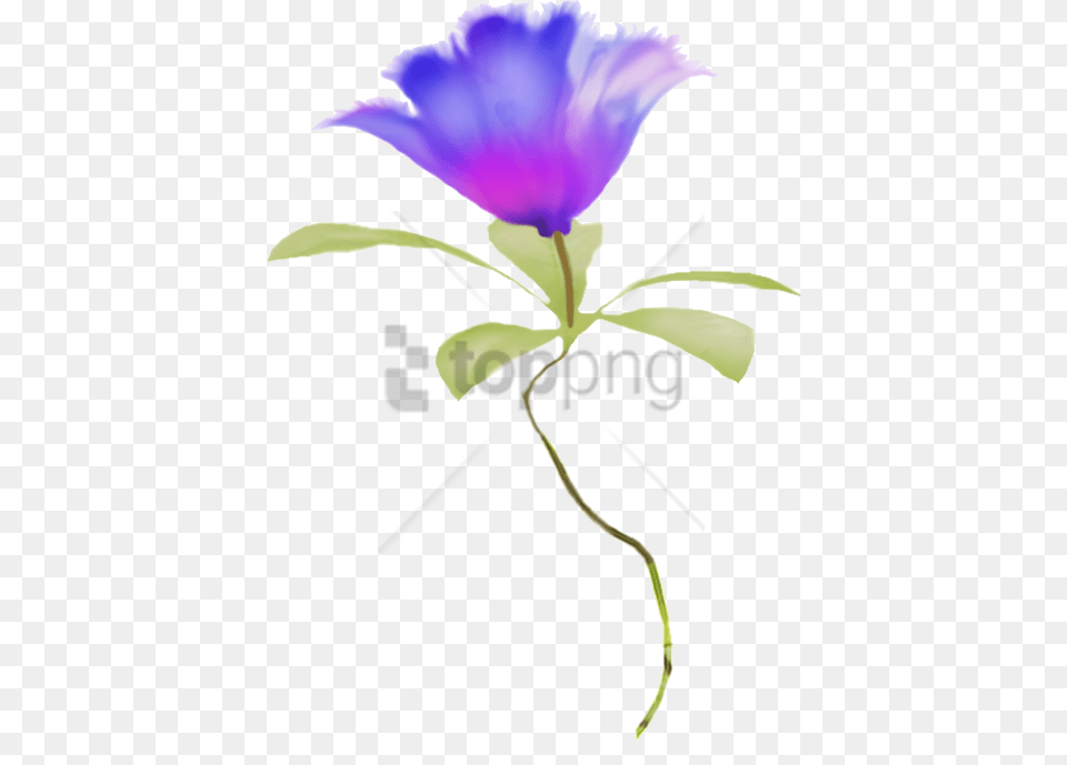 Watercolor Flower Blue Flowers Border Watercolor Background Border Flowers, Anemone, Petal, Plant, Purple Free Png Download