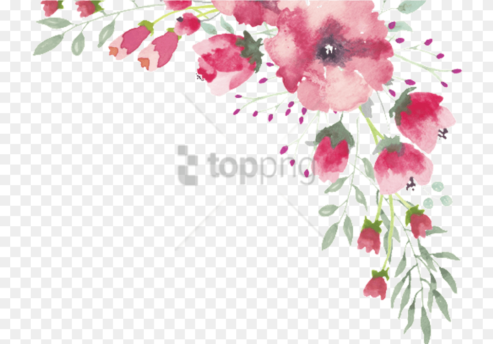 Watercolor Flower Border Clipart, Art, Graphics, Plant, Floral Design Png