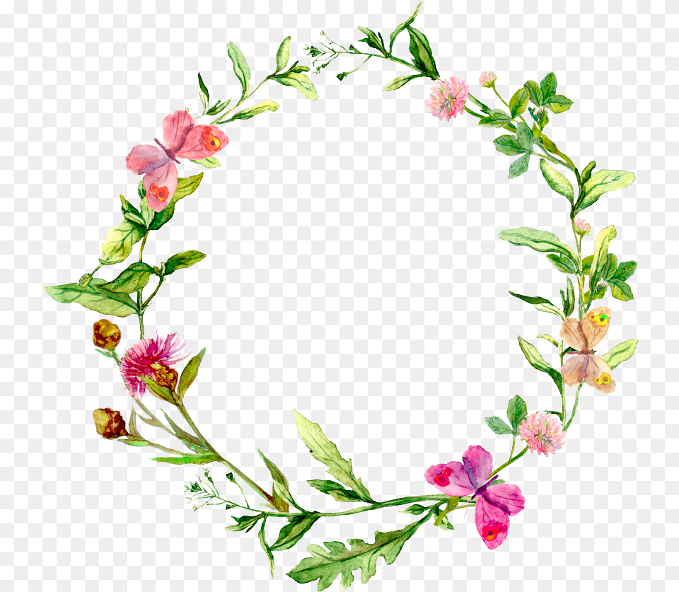 Watercolor Flower Circle Image Watercolor Flowers Circle, Plant, Petal, Pattern, Art Free Transparent Png