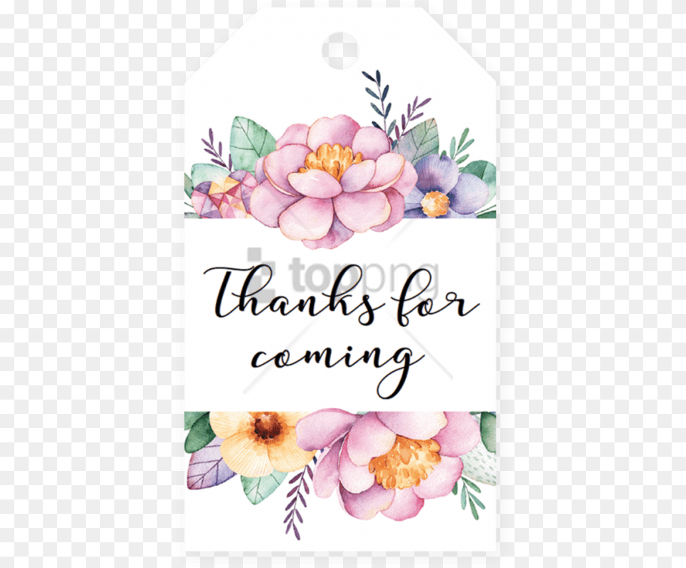 Watercolor Flower Frame Image With Transparent Thank You Card With Flowers, Envelope, Greeting Card, Mail, Petal Free Png