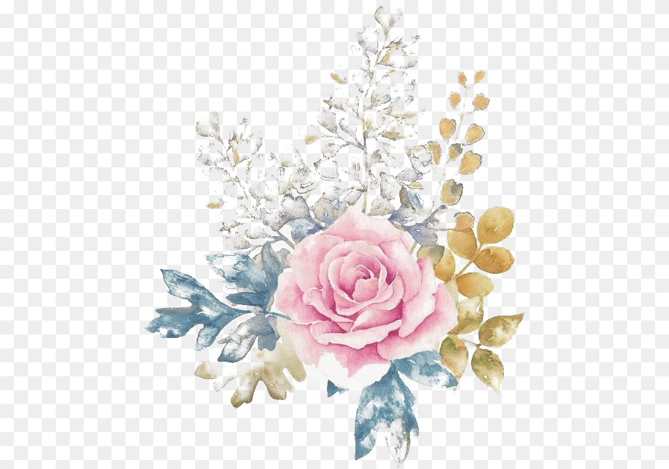 Watercolor Flower Free Transparent Background Flowers, Rose, Plant, Art, Floral Design Png Image