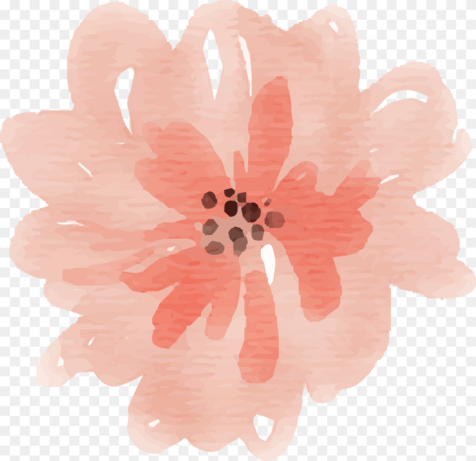 Watercolor Flower Images Peach Watercolor Flowers Peach, Dahlia, Petal, Plant, Anther Png