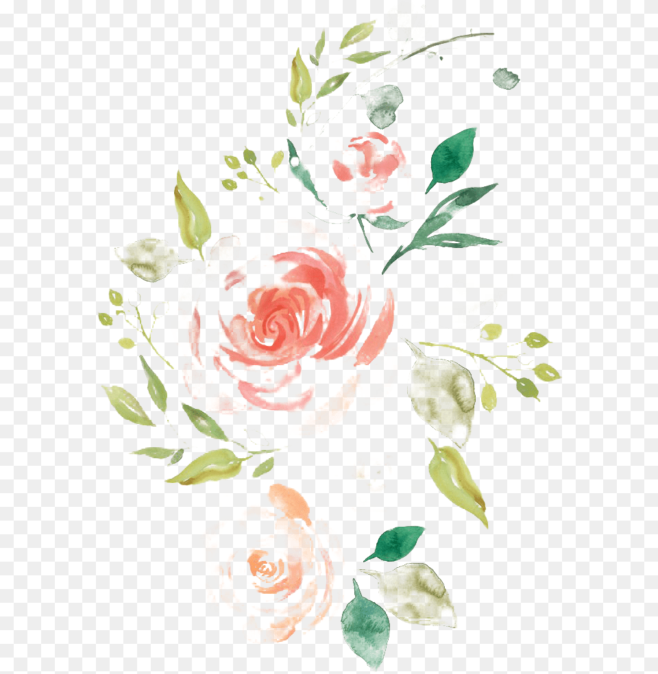 Watercolor Flower Picture, Art, Plant, Pattern, Rose Free Transparent Png