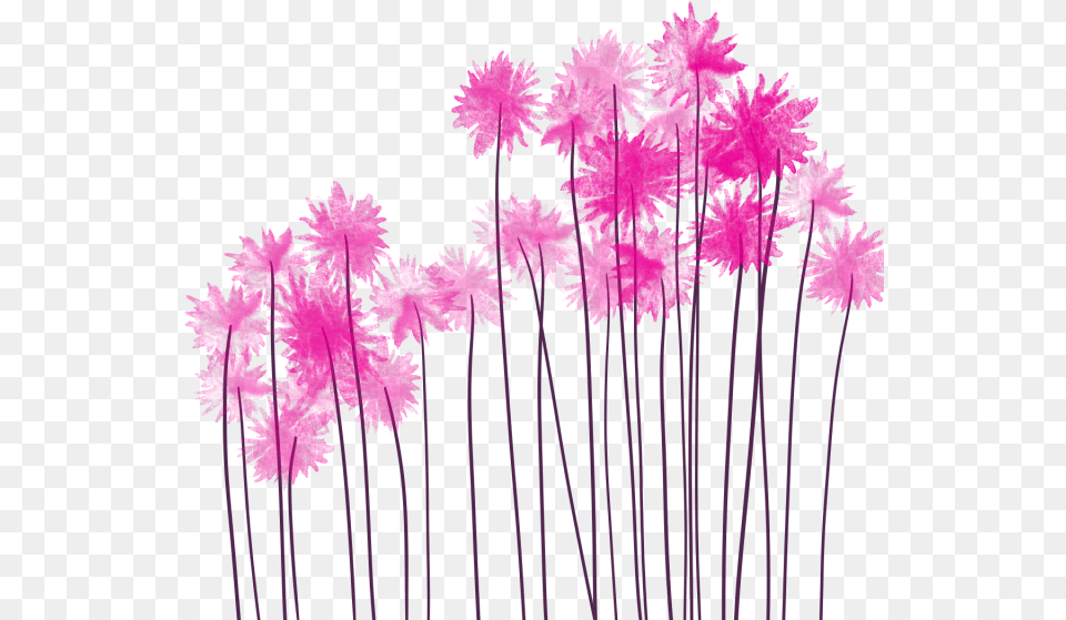 Watercolor Flower Pink And Pink Colour Grass, Daisy, Plant, Purple, Art Png Image