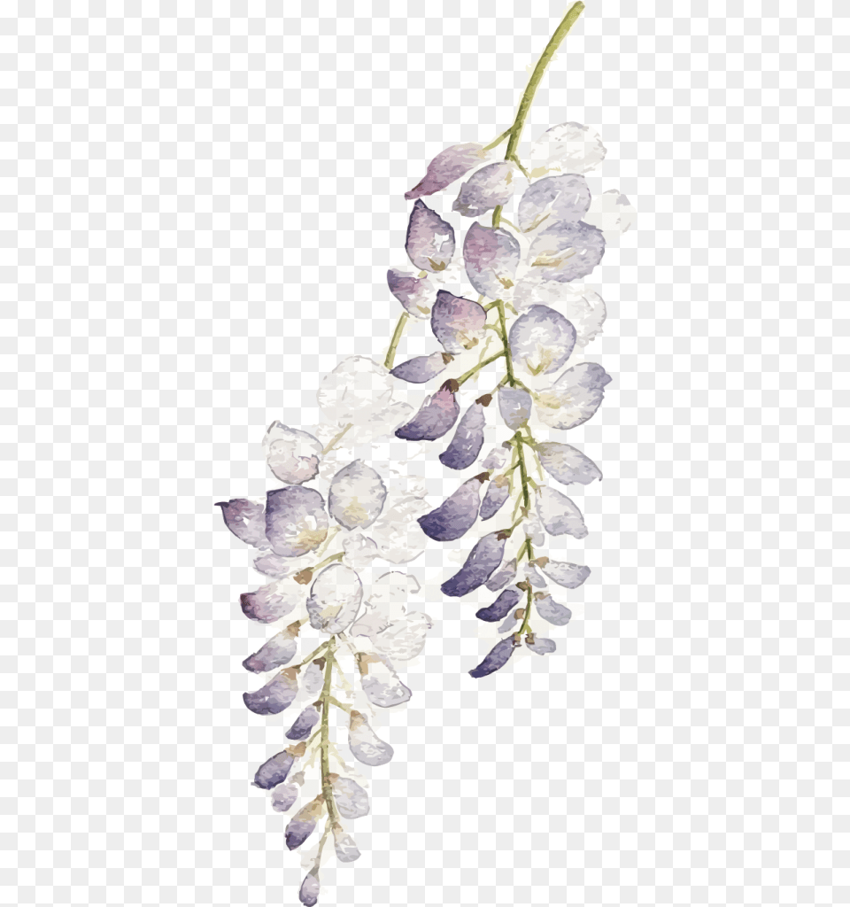 Watercolor Flower Purple, Petal, Plant, Person Png