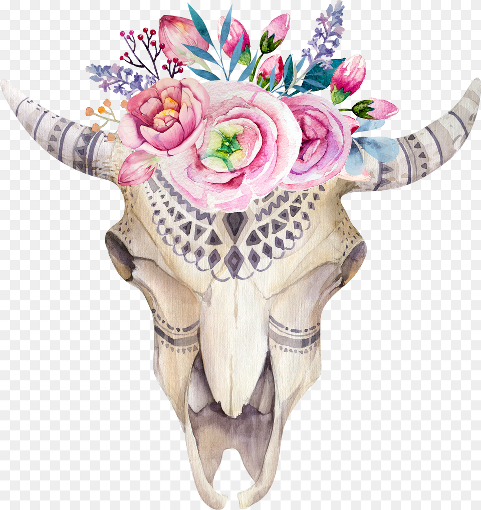 Watercolor Flower Skull Boho Chic Painted Pattern Illustration Watercolor Painting Animal Skull Free Png Download