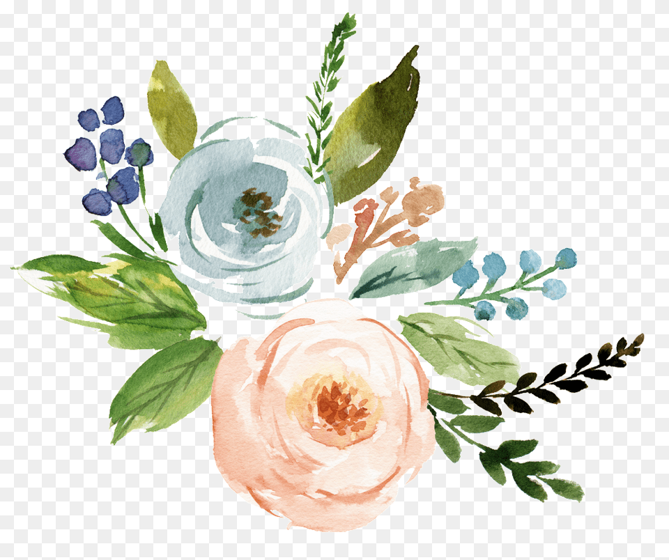 Watercolor Flower Background, Graphics, Art, Floral Design, Plant Free Transparent Png