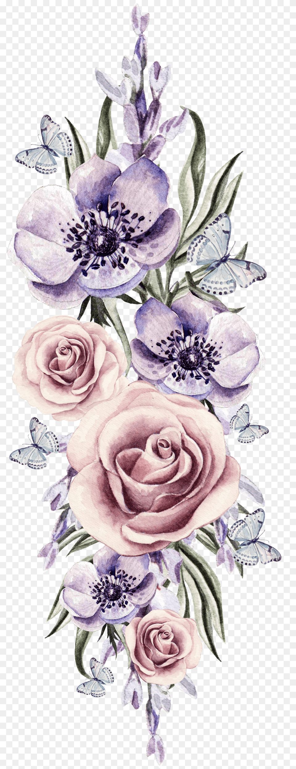 Watercolor Flower Background Watercolor Flower Cluster, Blackboard Free Transparent Png