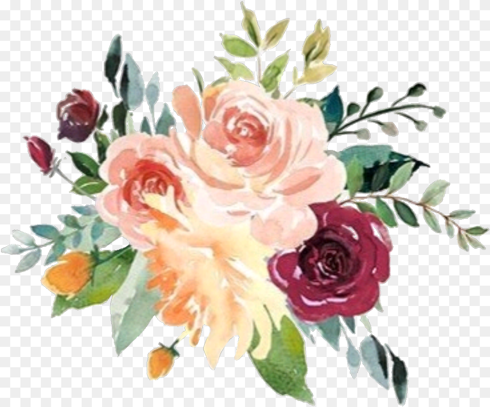 Watercolor Flower Vector, Art, Plant, Pattern, Graphics Free Transparent Png