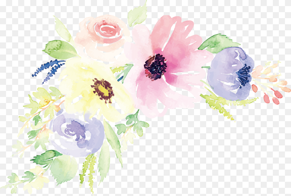 Watercolor Flower Vector, Art, Floral Design, Graphics, Pattern Free Transparent Png