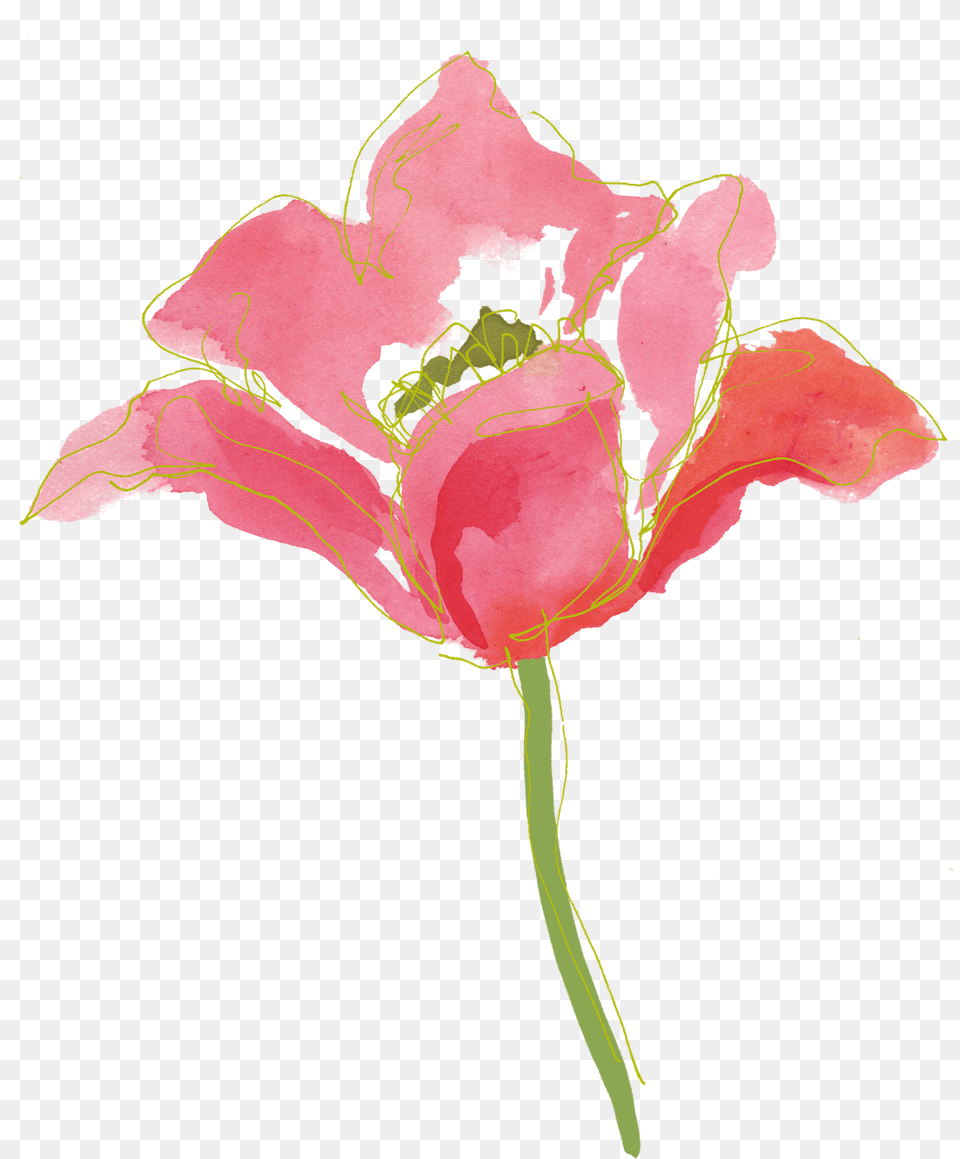 Watercolor Flowers 5 Paint Flower, Plant, Petal, Art, Graphics Free Png Download