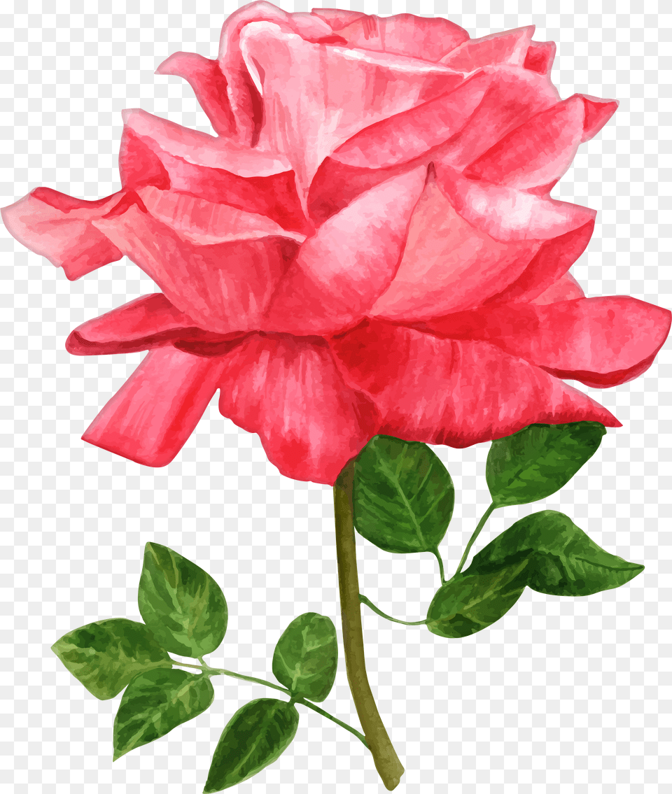Watercolor Flowers, Logo Free Transparent Png