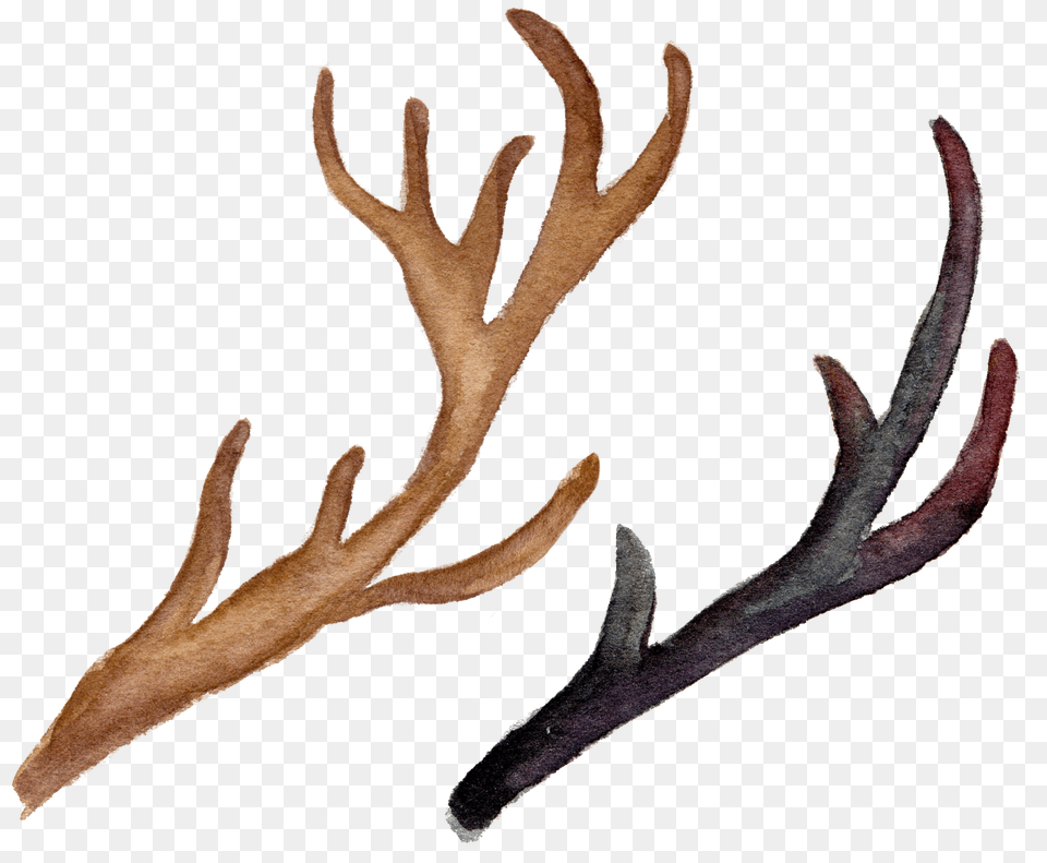 Watercolor Flowers And Deer Antlers Good Vibes For Success Png