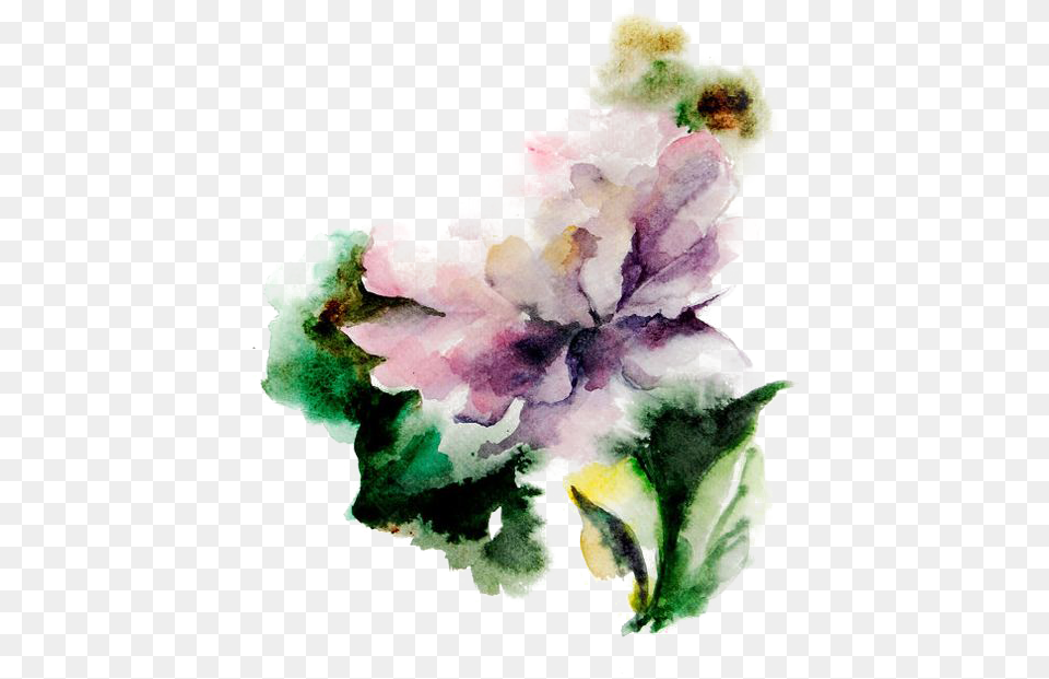 Watercolor Flowers Background, Flower, Plant, Animal, Bird Png Image