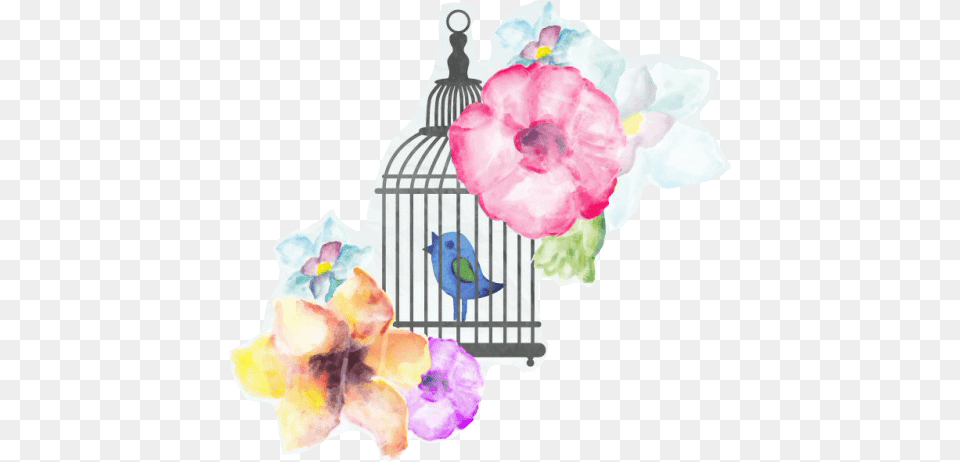 Watercolor Flowers Bird Cage, Flower, Plant, Animal, Person Free Transparent Png