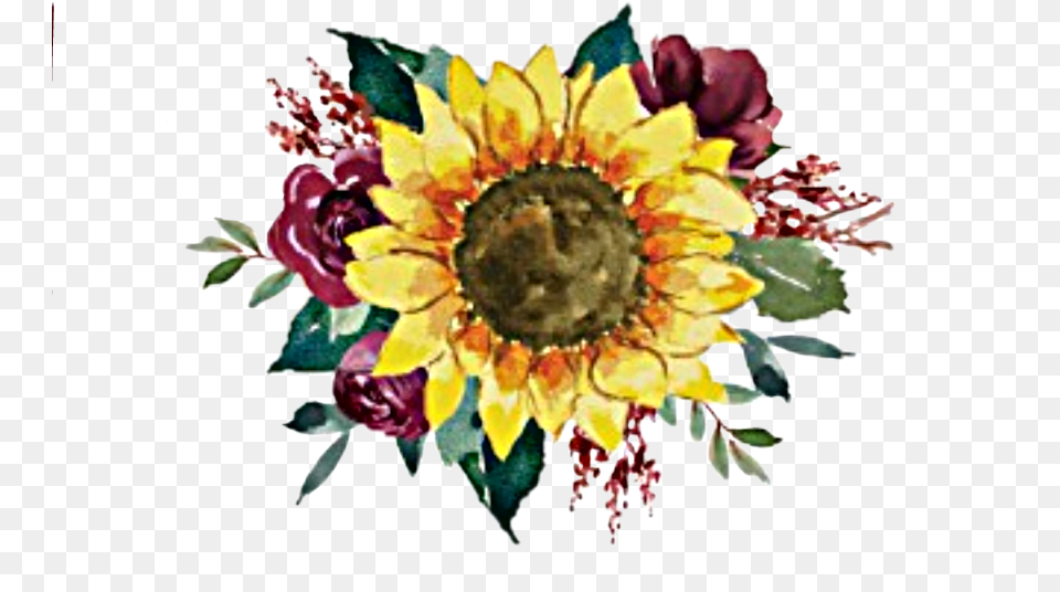 Watercolor Flowers Floral Bouquet Watercolor Sunflower And Rose Clipart, Plant, Flower, Pattern, Graphics Free Transparent Png