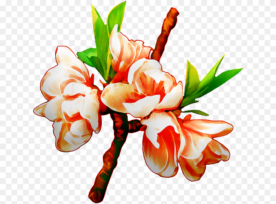 Watercolor Flowers Floral Pink On Pixabay Flower, Flower Arrangement, Petal, Plant, Flower Bouquet Png Image
