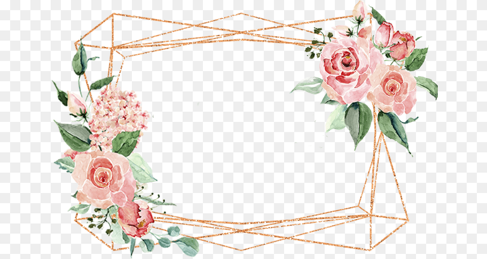 Watercolor Flowers Frame Border Sticker By Stephanie Floral, Flower, Flower Arrangement, Plant, Rose Png Image