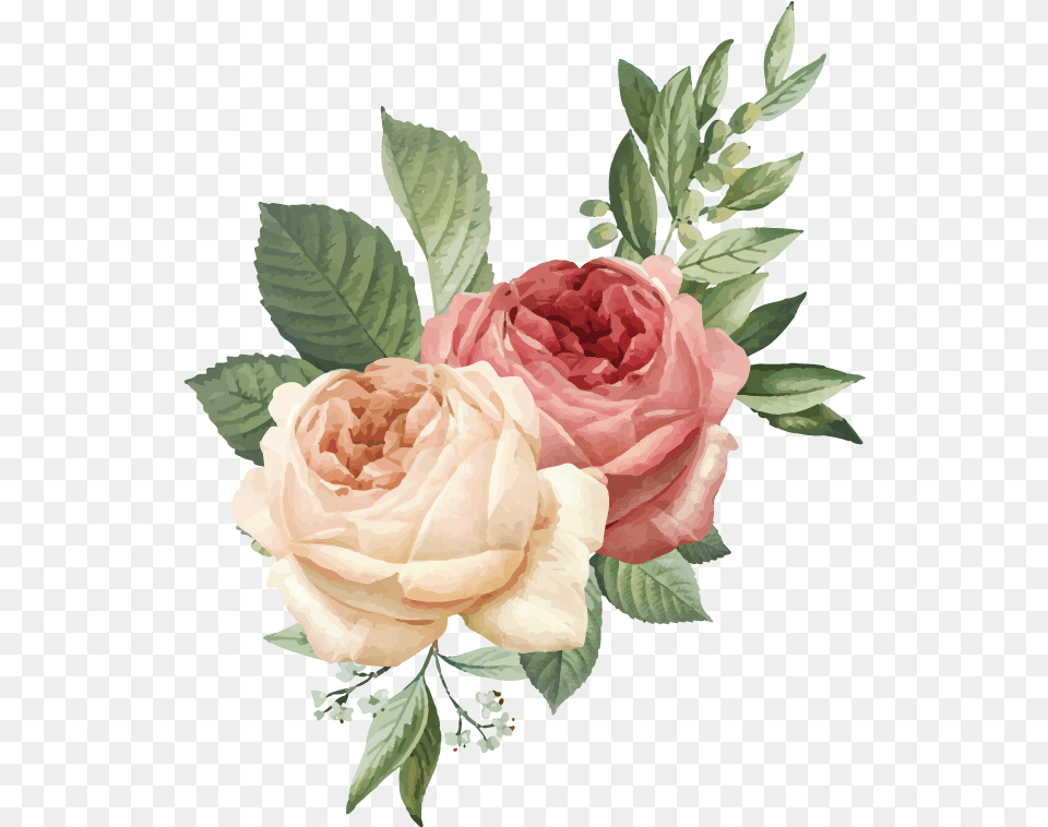 Watercolor Flowers Hawthorne Hotel Watercolor Flowers, Flower, Plant, Rose, Flower Arrangement Free Png Download