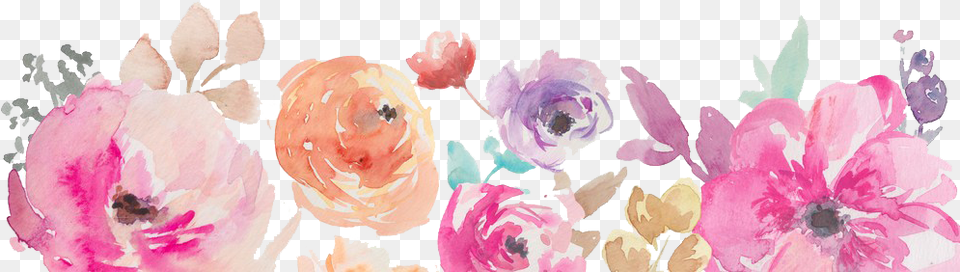 Watercolor Flowers Hd Flower Watercolor Border, Petal, Plant, Art, Graphics Free Png Download