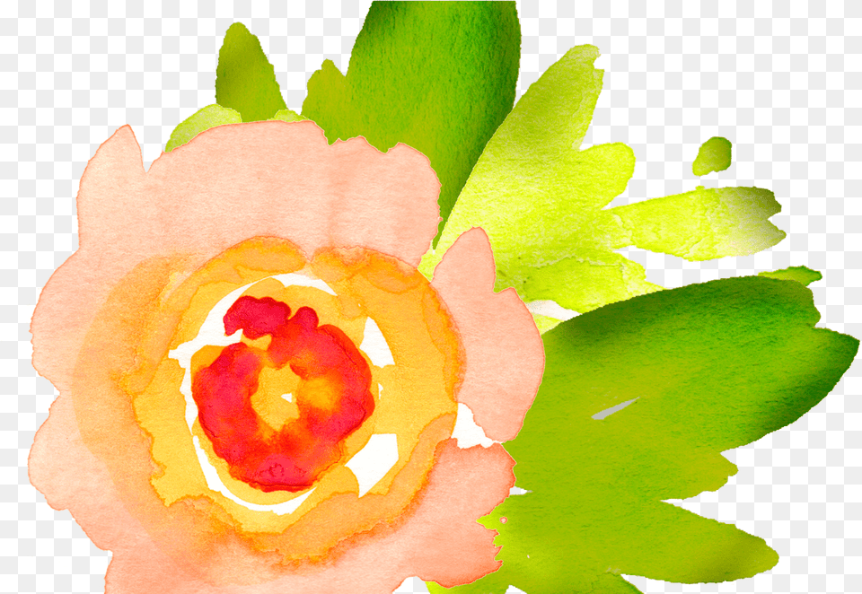Watercolor Flowers Library Free Watercolor Yellow Flower Download, Leaf, Petal, Plant, Rose Png