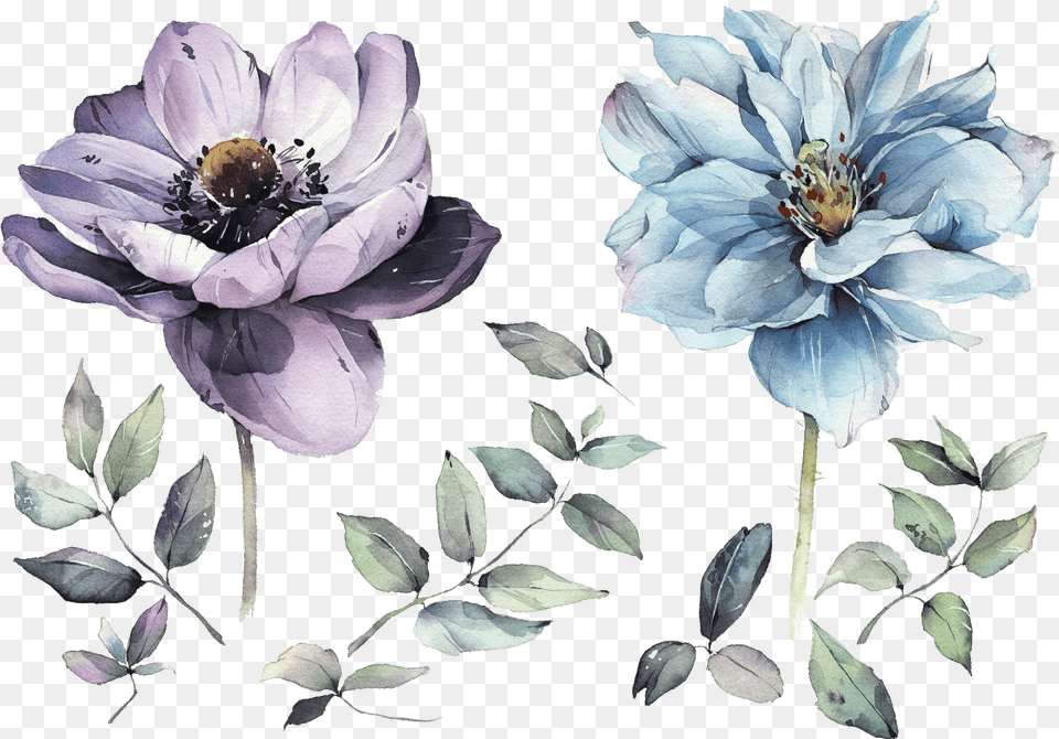 Watercolor Flowers Painting Drawing Watercolor Flowers, Flower, Anemone, Pollen, Plant Free Transparent Png