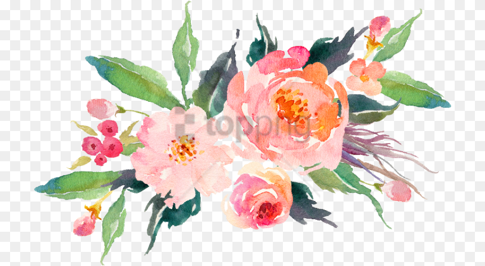Watercolor Flowers Peach Image With Background Watercolor Flowers, Plant, Pattern, Graphics, Flower Bouquet Free Transparent Png
