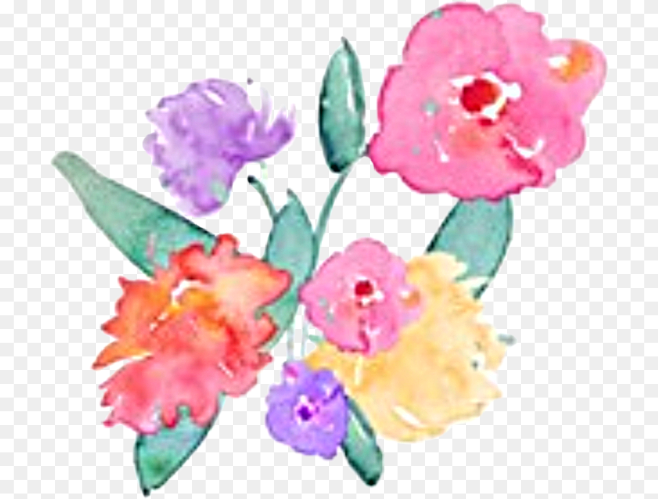 Watercolor Flowers Pink Purple Yellow Red Green Child Art, Flower, Petal, Plant, Carnation Free Png