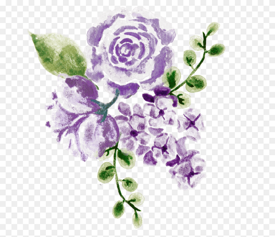 Watercolor Flowers Purple Lavender, Art, Plant, Pattern, Graphics Free Png